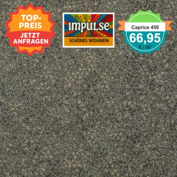 Girloon Caprice 450 – Draufsicht auf Teppichboden 450, inklusive klar positioniertem Preisetikett.